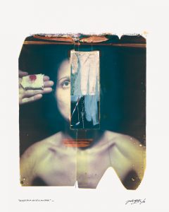 Das Polaroid Projekt - Die Eroberung durch die Kunst